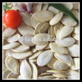 New Crop Raw Dried Squash Seed